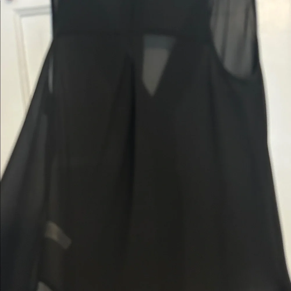 Naked Zebra Black Sheer Blouse